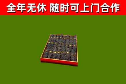 金湾烟酒回收海参.jpg